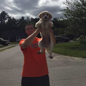 Meet your Posher, Johnathan